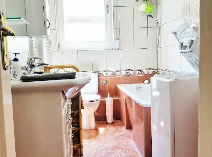 Gold Rose With 3 * Budapesta